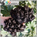 2015 Fashional 6A high quality funmi hair malaysian human hair straightening